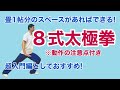【分解】8式太極拳 日本語版 正面