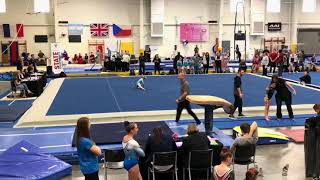 2018 Level 8 Texas State Championship Floor
