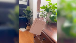 Reasons Why I Love My Denner