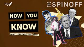 Cylone Vaianu, Winston Peters Trip To The Us And Nzs Pyramid Schemes - Explained The Spinoff