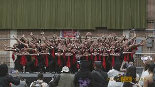 Beta Alpha Chapter of Delta Sigma Theta Spring 2024 Probate   FAMU