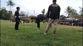 Sambung dengan pasang jember'ant psht ranting kalisat