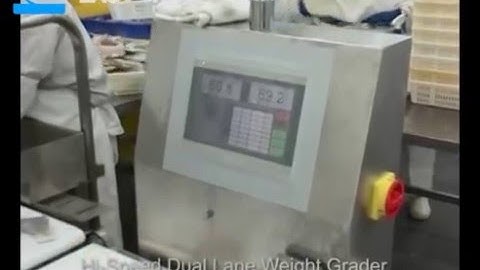 Frozen Fish Pieces Weight Grading