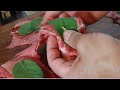 SALTIMBOCCA  alla ROMANA  ricetta saltimbocca alla romana con patate