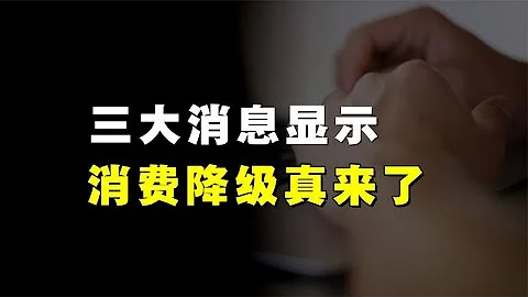拼多多暴赚，阿里、京东集体换帅，618没落，消费降级真来了吗？ - 天天要闻