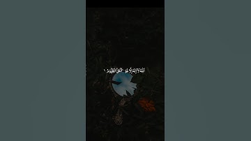 تلاوة جميلة ومؤثرة جدا بصوت مشاري العفاسي #القرآن_الكريم #ayatulkursi