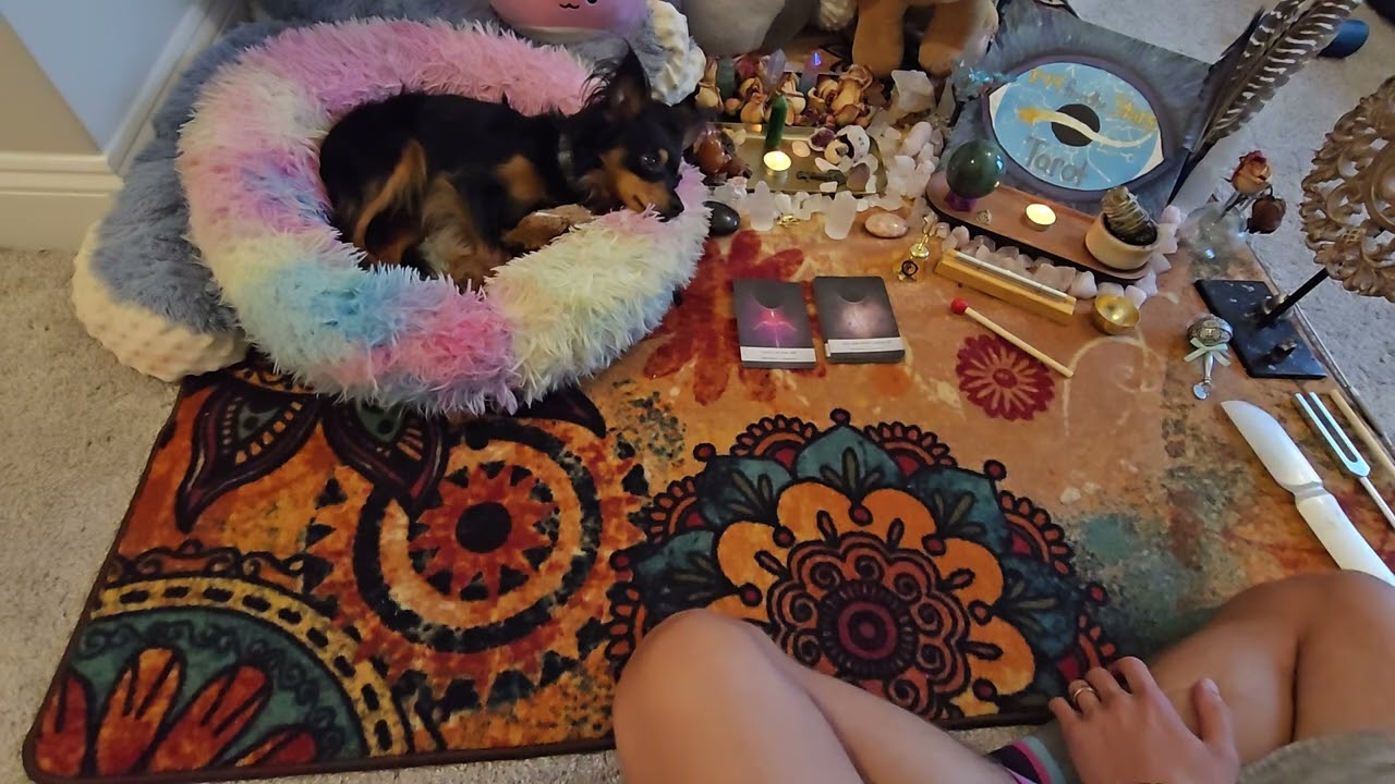 Can't escape Truth and Justice. Judgment Day.