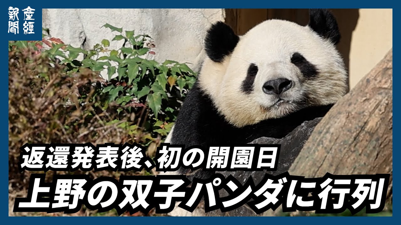 They brought joy and surprise