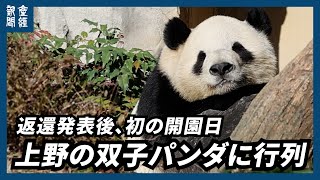 They brought joy and surprise