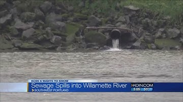 What caused the Willamette River sewage spills?