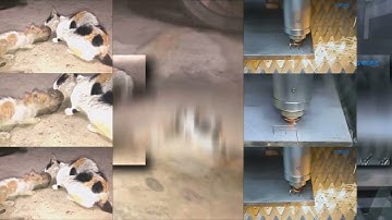 140 Shuric Scans with are slides Kerry Wiser