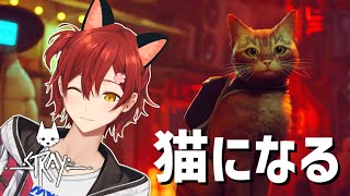 【Stray】猫になってサイバーパンクな世界を冒険🐈【花咲みやび/ホロスターズ】
