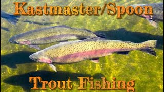 KastMaster/Spoon Trout Fishing Report Lake Pardee