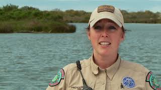 Game wardens are ready for springtime in texas. investigate a video of
an illegal hunter. concerned citizen reports hunter on his property.a
fish...