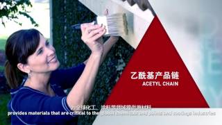 Celanese - Engineered Materials Asia (Mandarin)