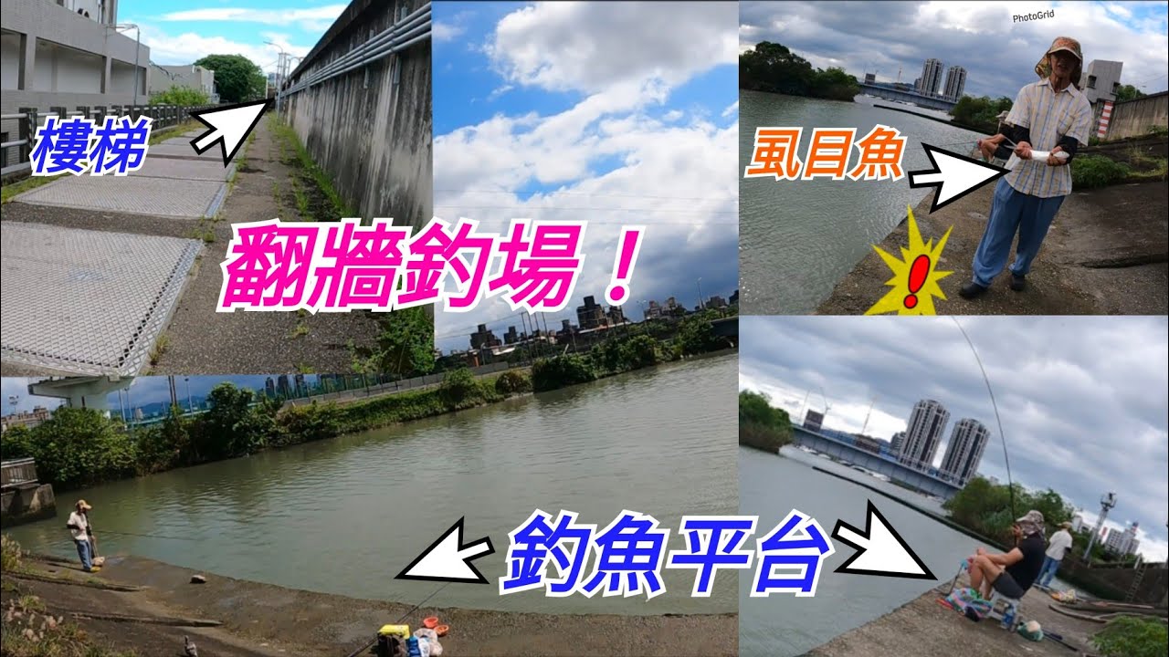 這釣場也太神秘!翻牆進去後是個超大釣魚平台,竟然釣到老師傅都沒見過的魚,水越淺竟然越咬,魚也越釣越大! 縮圖