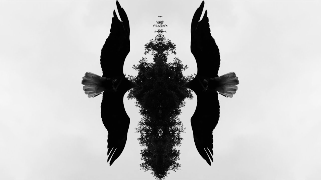 Non-Essential Workers (N.E.W.) – IMPOSSIBLE