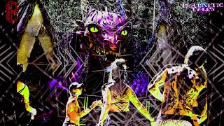 Famous EXPERIMENTAL PSYCORE DJ SET 240-200 BPM Profile