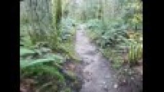 Soaring Eagle Trail Run Washington State