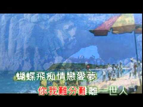 王識賢~蝴蝶飛