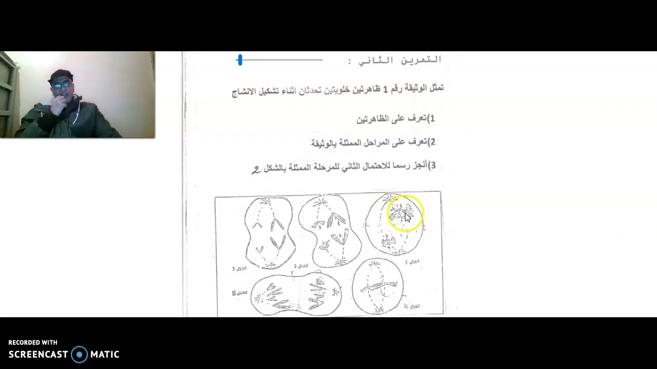 تمرين رقم 1 الانقسام الاختزالي