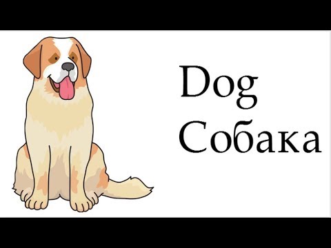 Собака, як намалювати собаку, #draw, як намалювати великого собаку крок за кроком, малюнок собаки - YouTube