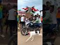 Kolhapur dog race 🚀😱 || kolhapur dog racing / dog race maharashtra || #shorts #arfyads