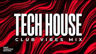 Tech House Club Mix | Drop Voidstone #13