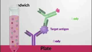 ELISA principle introduction video