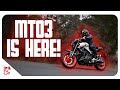 The MT03 is HERE! 2020 Yamaha MT-03 Launch