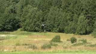 Mini Skywalker Maiden (RC Plane)