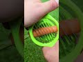 Vegetable Cutting Made Easy