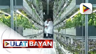 Integrated resort sa Pasay City, umaani ng high-value vegetables sa pamamagitan ng urban farming