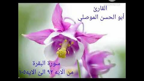 سورة البقرة من الايه ٩٢ الئ الايه ١٠٥ للقارئ أبو الحسن الموصلي