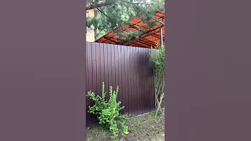 RUSSIAN DACHA HOW IT LOOKS LIKE Russia Philippines Filipino English Themanilatimes Manila 
