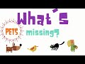 Animal Identification Quiz