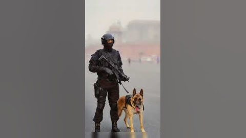 Indian Army NSG 🖤 Black Cat Commando #shorts