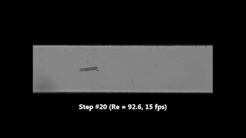 Inertial focusing of ellipsoidal Euglena gracilis cells in a stepped microchannel