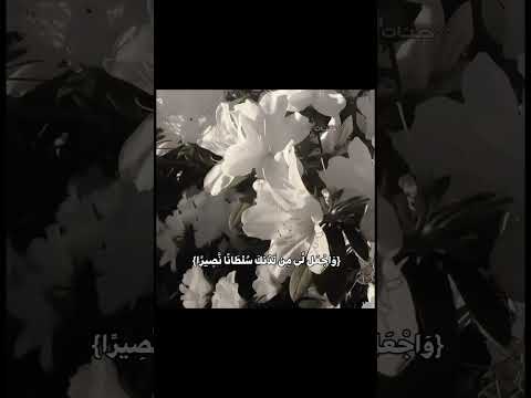 الحمدالله دعم اشتين ايقنت   اكسبلور نرجس   دويتو قران كريم