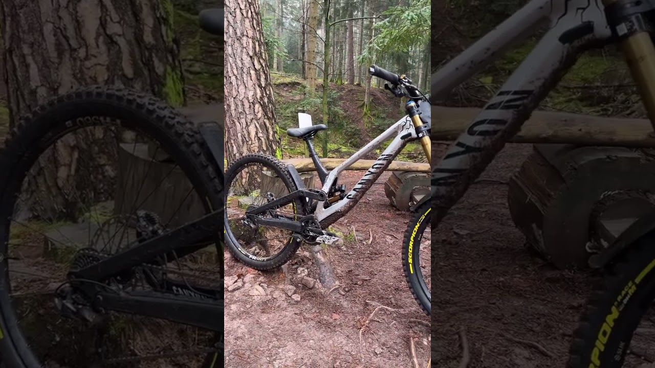 Canyon Sender CFR 😘⚡️