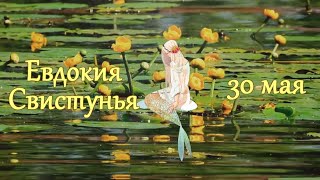 30 мая. Народный праздник Евдокия Свистунья. Приметы и традиции дня.