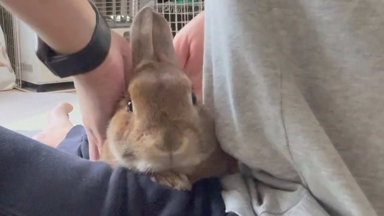 Even though I just started the massage without notice, she has