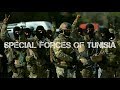 Special forces of tunisia 2019    