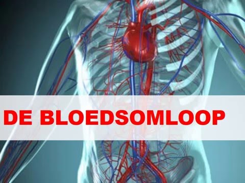 Video: 7 Ziektes Aan De Bloedsomloop: Symptomen, Risico's En Meer