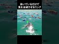 泳いでいるだけで魚を全滅させるリンク 【ゼルダの伝説 ティアーズオブザキングダム】