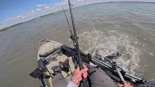 Fishing for Ladyfish (yes, for real) Part 1   (redfish, speckled trout & flounder)