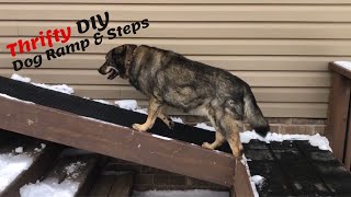 Quick and Thrifty Ways to Build a Dog Ramp and Steps