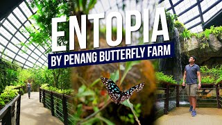 ENTOPIA by Penang Butterfly Farm | Things to do in Penang | Travel Malaysia