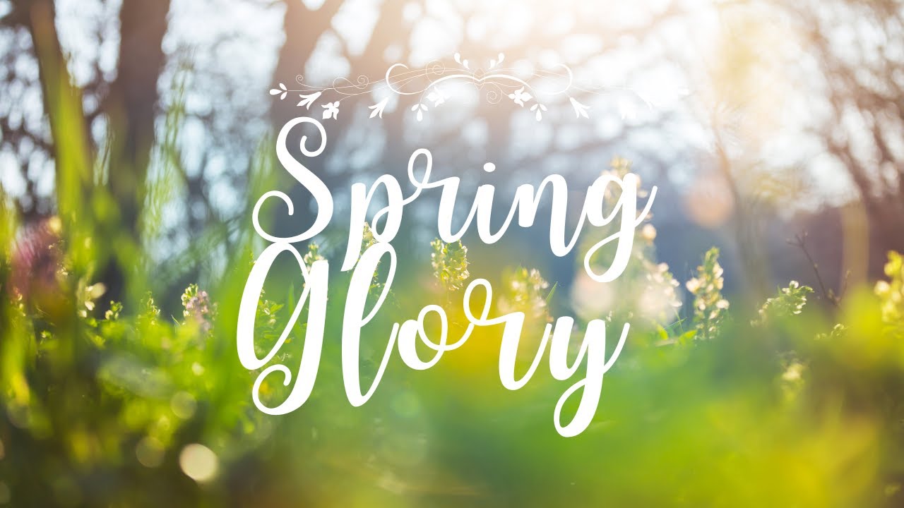 Spring Glory chillout bossa nova music for relaxing working or studying