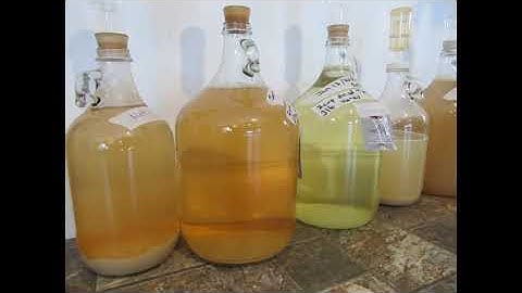 MAKING MEAD   Simple Ingredients   Stinging Nettle Mead